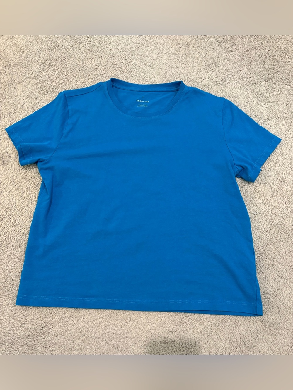 Everlane Small Short Sleeve Waist Length Crew Tee in Ocean Blue